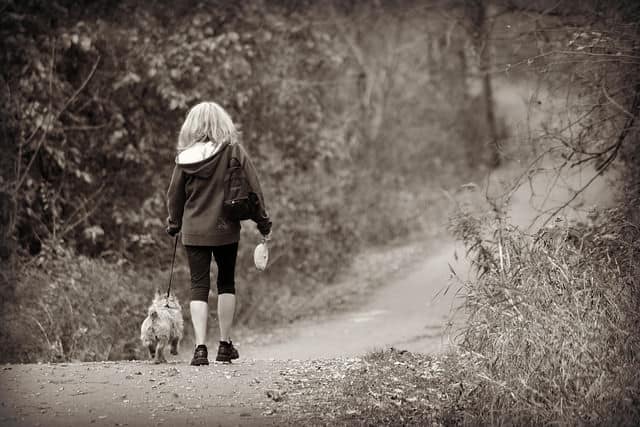 beneficios de pasear