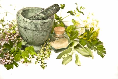 Conoce las plantas medicinales para combatir el estreñimiento