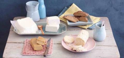Soja, Seitán y Tempeh conoce las proteinas vegetales