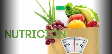 Tipos de Nutrición, conoce sus caracteristicas