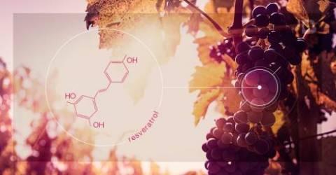 Resveratrol, la molécula Anti-edad