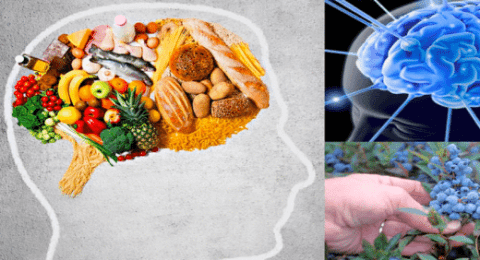 Alimentos que mejoran la concentración y memoria