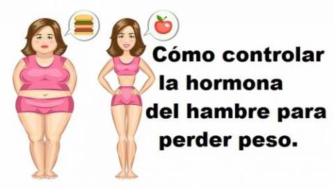 Leptina, la Hormona de la Saciedad