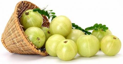 amla la prodigiosa planta para la salud