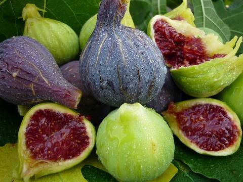 qué beneficios tienen los higos?