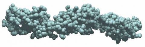 Las Enzimas, conoce que son y qué funcion tienen