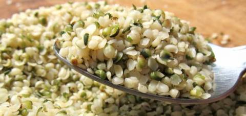 Las Semillas de Cañamo todo un Super-alimento!