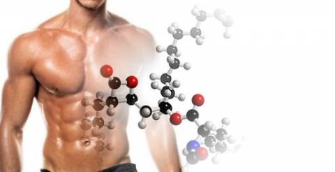 Los Aminoácidos no esenciales conócelos!