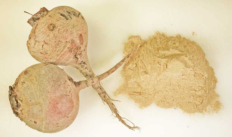 raiz de maca clinica vicario
