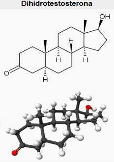 dihidrotestosterona Clinica Vicario