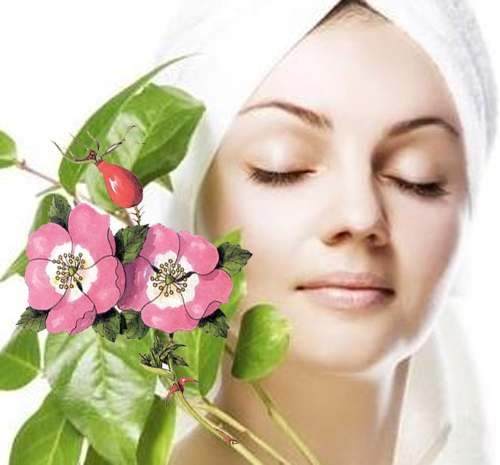 rosa mosqueta Clinica Vicario