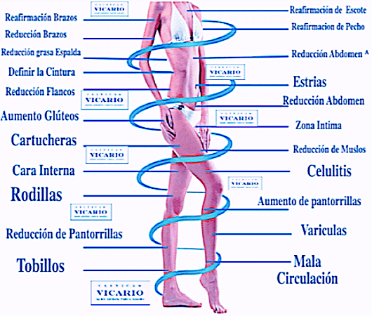 Estetica Corporal Clinicas Vicario
