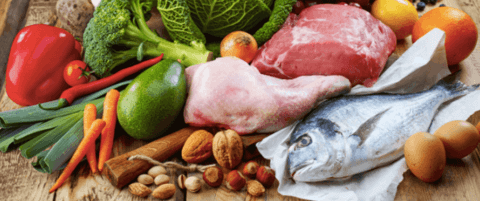 dieta paleolitica – la paleo dieta